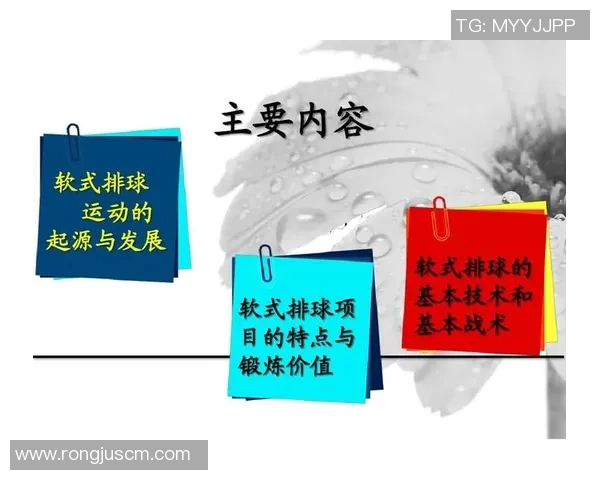 成都排球队的控制打法深度解析与战术应用探讨